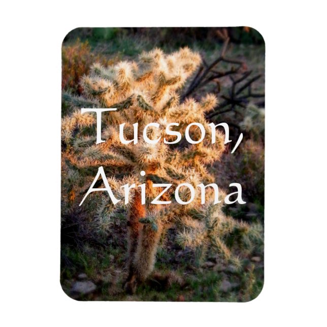 Magnet Flexible Cholla Tucson, Arizona (Vertical)