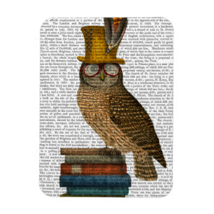 Magnet Flexible Chouette dans les livres