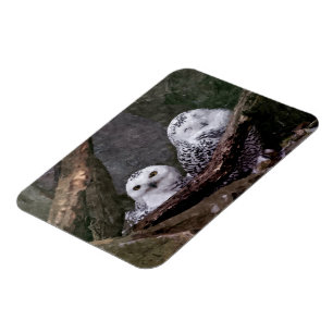 Magnet Flexible Chouette Harfang Couple Art Bois Faune