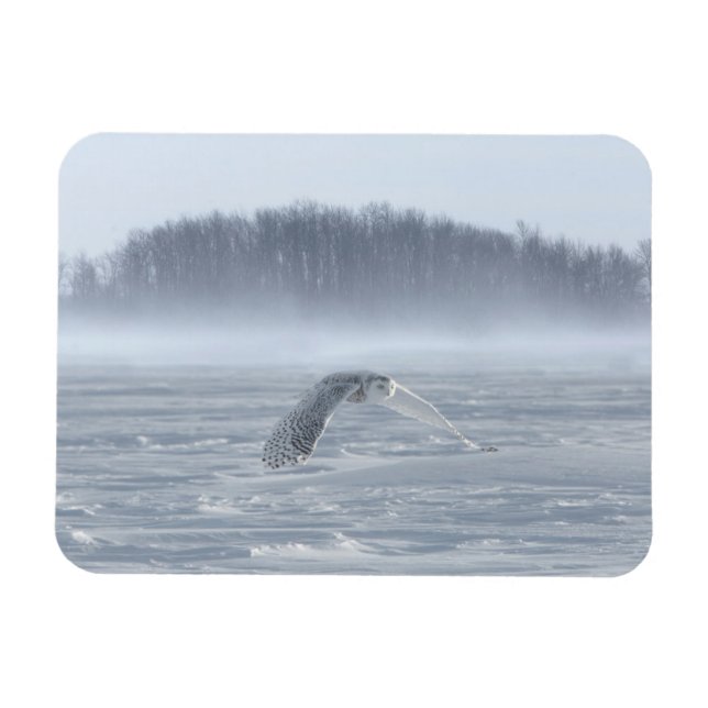 Magnet Flexible Chouette Neige Volant En Hiver (Horizontal)