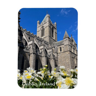 Magnet Flexible Christ Church à Dublin, Irlande