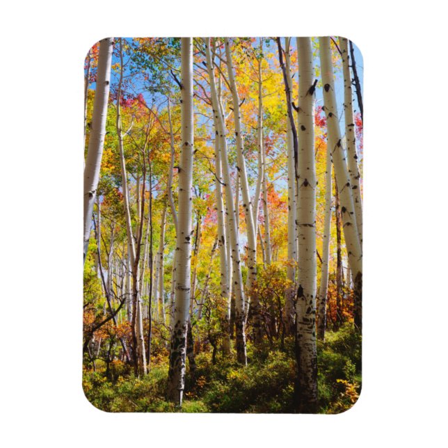 Magnet Flexible Chute d'Aspen trees 5 (Vertical)
