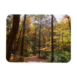 Magnet Flexible Chute Sunlit dans le parc national de Laurel Hill