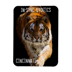 Magnet Flexible Cincinnati Tiger -