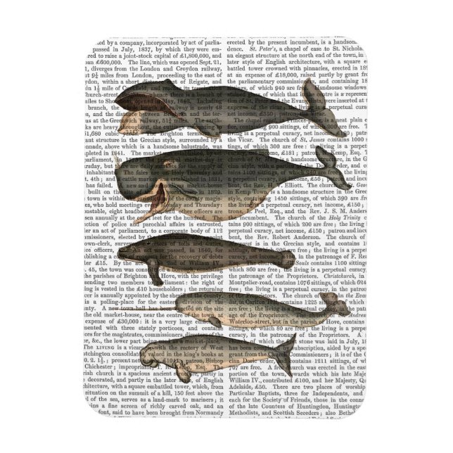 Magnet Flexible Cinq baleines Vintages (Vertical)