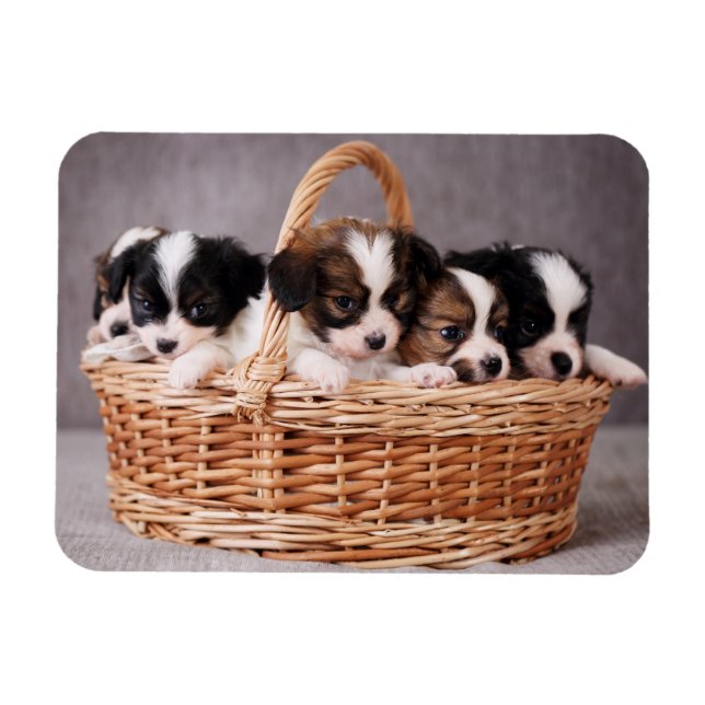 Magnet Flexible Cinq mignons chiots dans un panier (Horizontal)