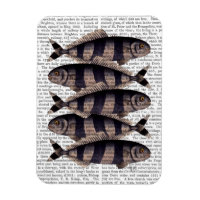 Cinq poissons triés