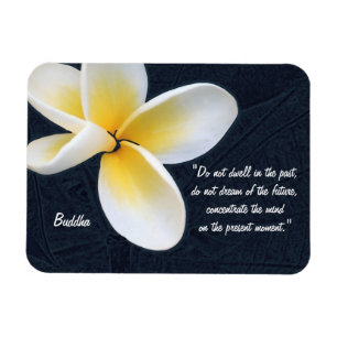 Magnet Flexible Citations de Bouddha & Fragipani fleur / méditatio