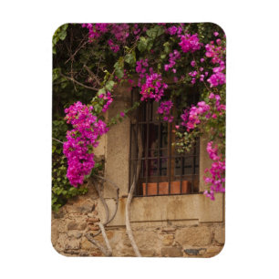 Magnet Flexible Cité Monumentale, bâtiments couverts de fleurs