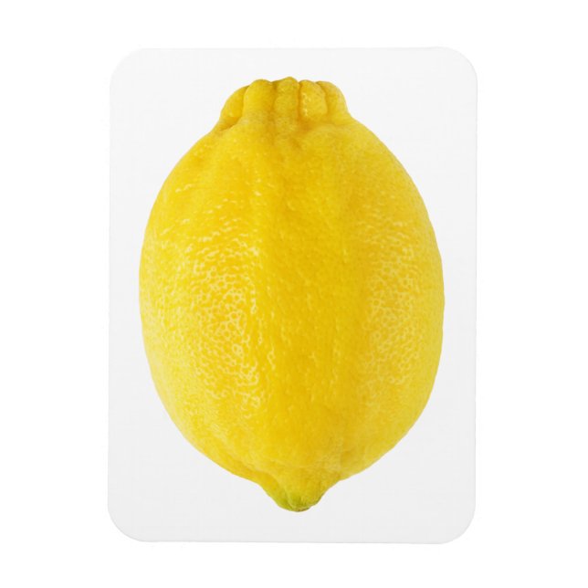 Magnet Flexible Citron (Vertical)
