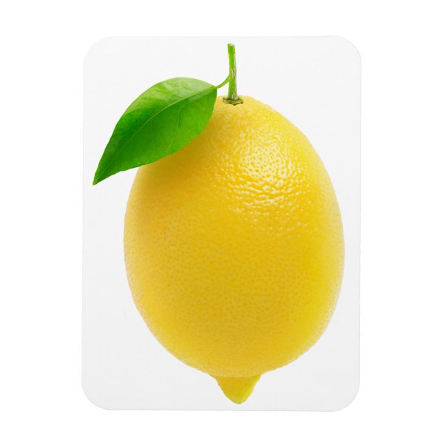 Magnet Flexible Citron (Vertical)