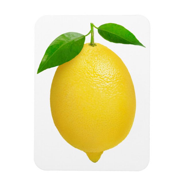 Magnet Flexible Citron (Vertical)