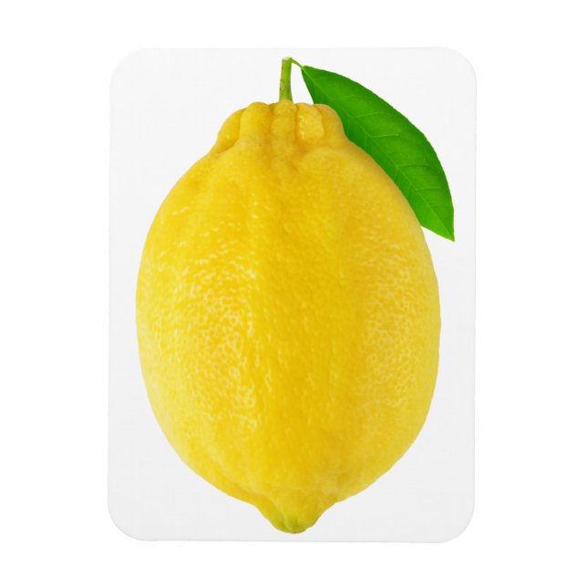 Magnet Flexible Citron (Vertical)