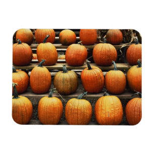 Magnet Flexible Citrouille d'automne