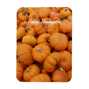 Magnet Flexible Citrouilles de Thanksgiving