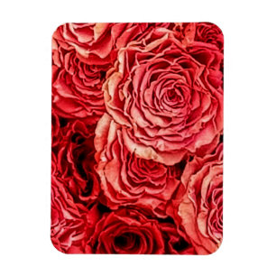 Magnet Flexible Closeup de Red Roses