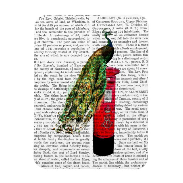 Magnet Flexible Coche sur boîte postale (Vertical)