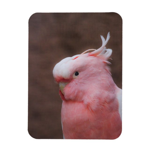 Magnet Flexible Cockatoo rose (Vertical)