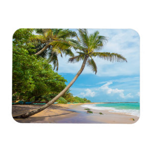 Magnet Flexible Cocout Palm, plage de Mirissa   Sri Lanka