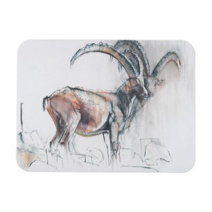 Magnet Flexible Col di Vermianaz