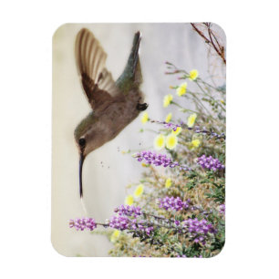 Magnet Flexible Colibri et Art numérique Fleur sauvage