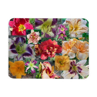 Magnet Flexible Collage de Daylily