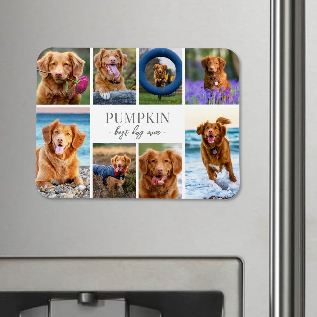 Magnet Flexible Collage de photos de chien simple (Simple Dog Pet Photo Collage jigsaw puzzle)