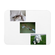 Collage de photos de Moira, Riley et Tyler