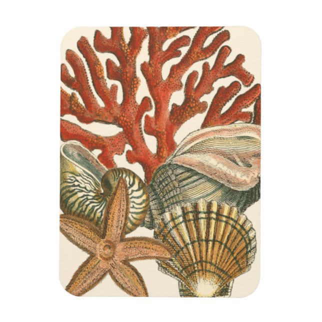 Magnet Flexible Collection de vies marines (Vertical)