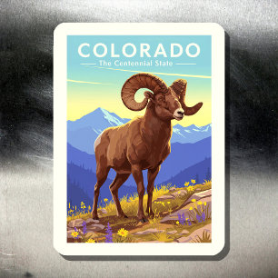 Magnet Flexible Colorado vintage