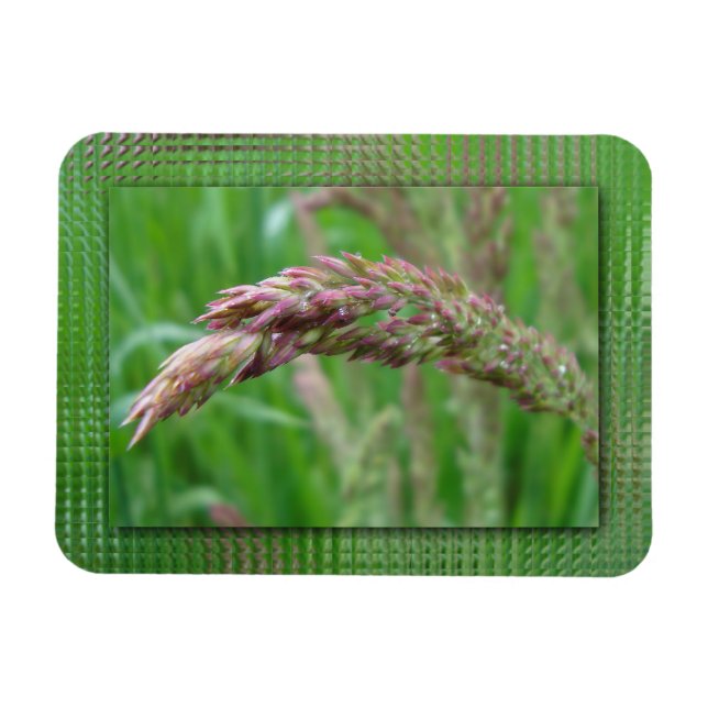 Magnet Flexible Comment l'herbe grandit avec un aimant flexible (Horizontal)