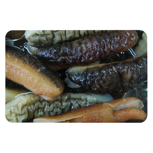 Magnet Flexible Concombre de mer ... Nourriture du marché du Yaowa (Horizontal)