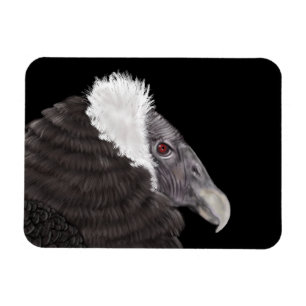 Magnet Flexible Condor andin illustré