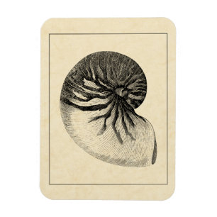 Magnet Flexible Conque noire et blanche vintage Shell