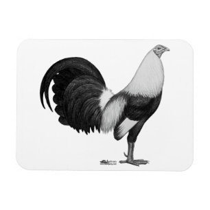 Magnet Flexible Coq de combat gris à ailes de canard