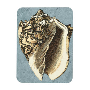 Magnet Flexible Coque conique en pierre