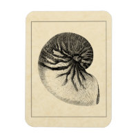 Coque conique vintage noire et blanche