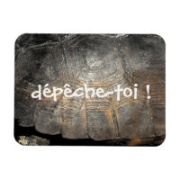 Coque de tortue Gopher