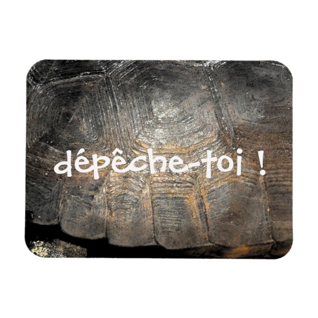 Magnet Flexible Coque de tortue Gopher (Horizontal)