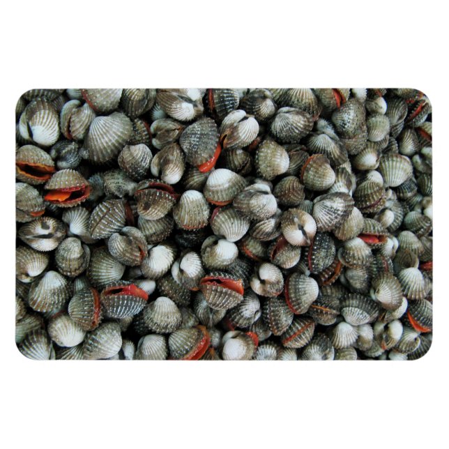 Magnet Flexible Coques de coques de sang (Horizontal)