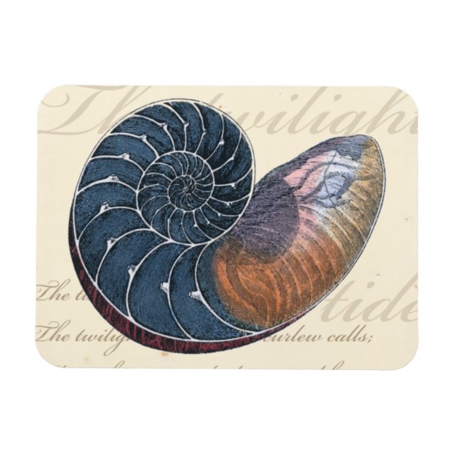Magnet Flexible Coquillage romantique (Horizontal)