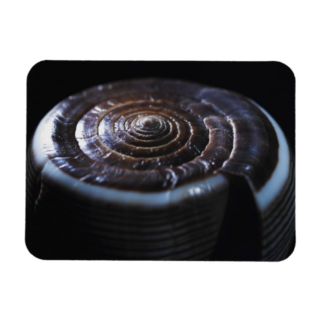 Magnet Flexible Coquille de cône (Horizontal)