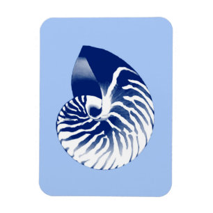 Magnet Flexible Coquille de nautile - marine, blanc & bleu clair