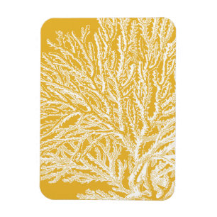 Magnet Flexible Corail jaune et blanc