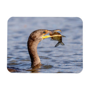 Magnet Flexible Cormoran avec un poisson