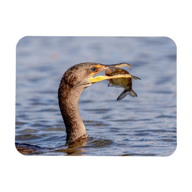 Magnet Flexible Cormoran avec un poisson (Horizontal)