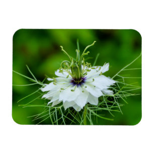 Magnet Flexible Corne