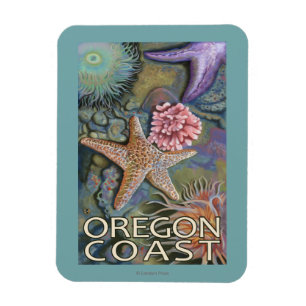 Magnet Flexible Côte de l'Oregon Tidepool