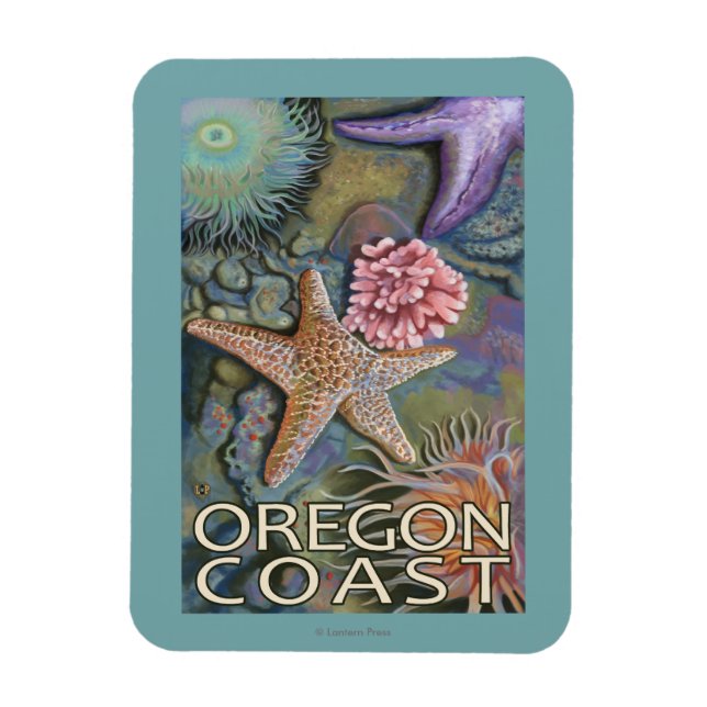 Magnet Flexible Côte de l'Oregon Tidepool (Vertical)