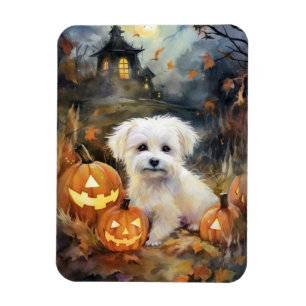 Magnet Flexible Coton De Tulear Halloween Avec Peur Citrouille